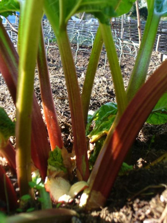 351180fe6f1d64022ed289a75100aa87